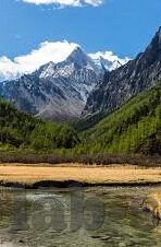 mk体育在线下载-MK体育，优化在线下载体验，引领数字体育时代